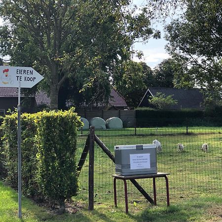 Villa Sayang26 Gezellige Gezinsvriendelijke Stacaravan Op Familiecamping De Vossenburcht In Natuurgebied Reestdal - No Workers Allowed IJhorst Exterior foto