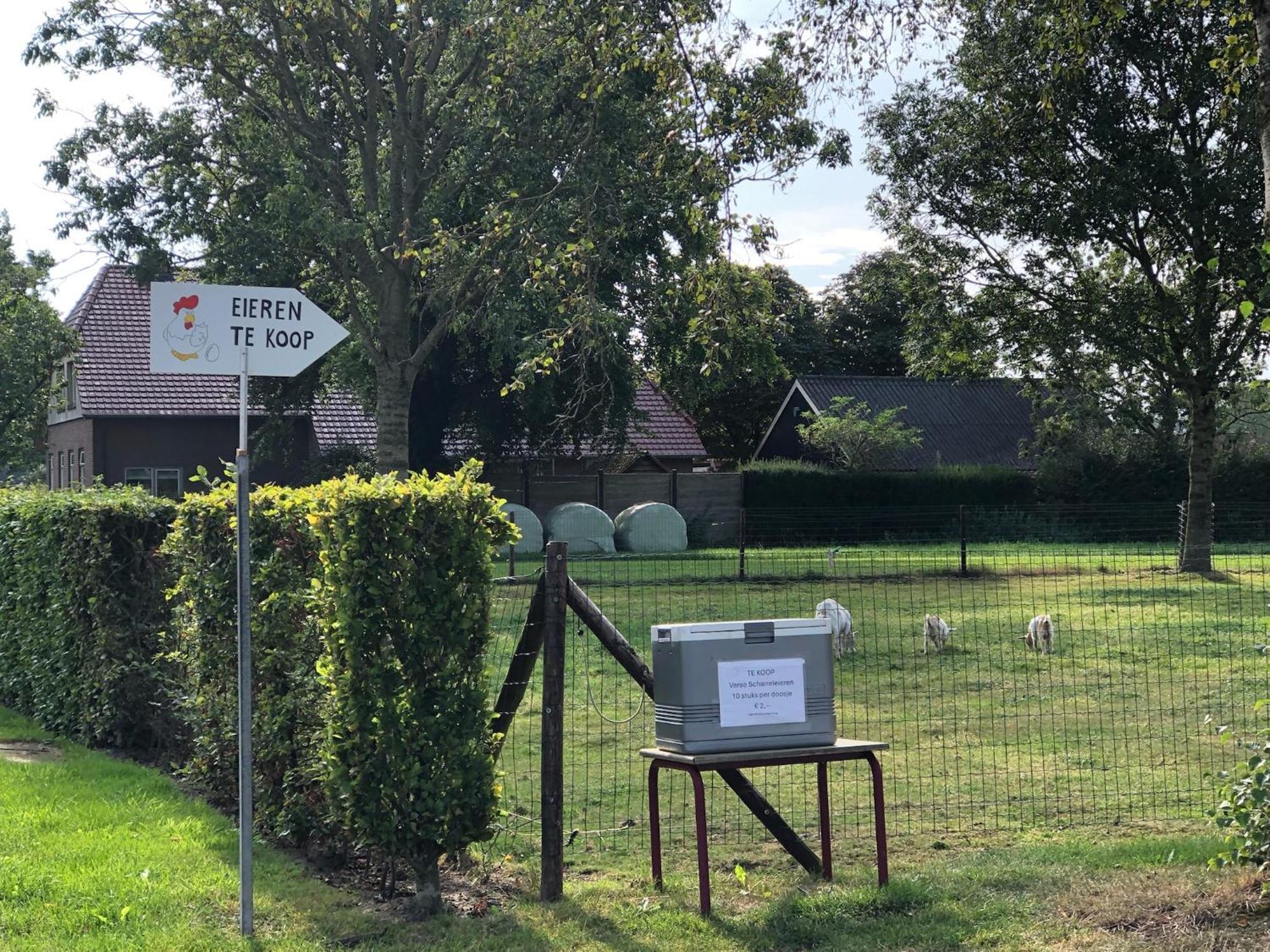 Villa Sayang26 Gezellige Gezinsvriendelijke Stacaravan Op Familiecamping De Vossenburcht In Natuurgebied Reestdal - No Workers Allowed IJhorst Exterior foto