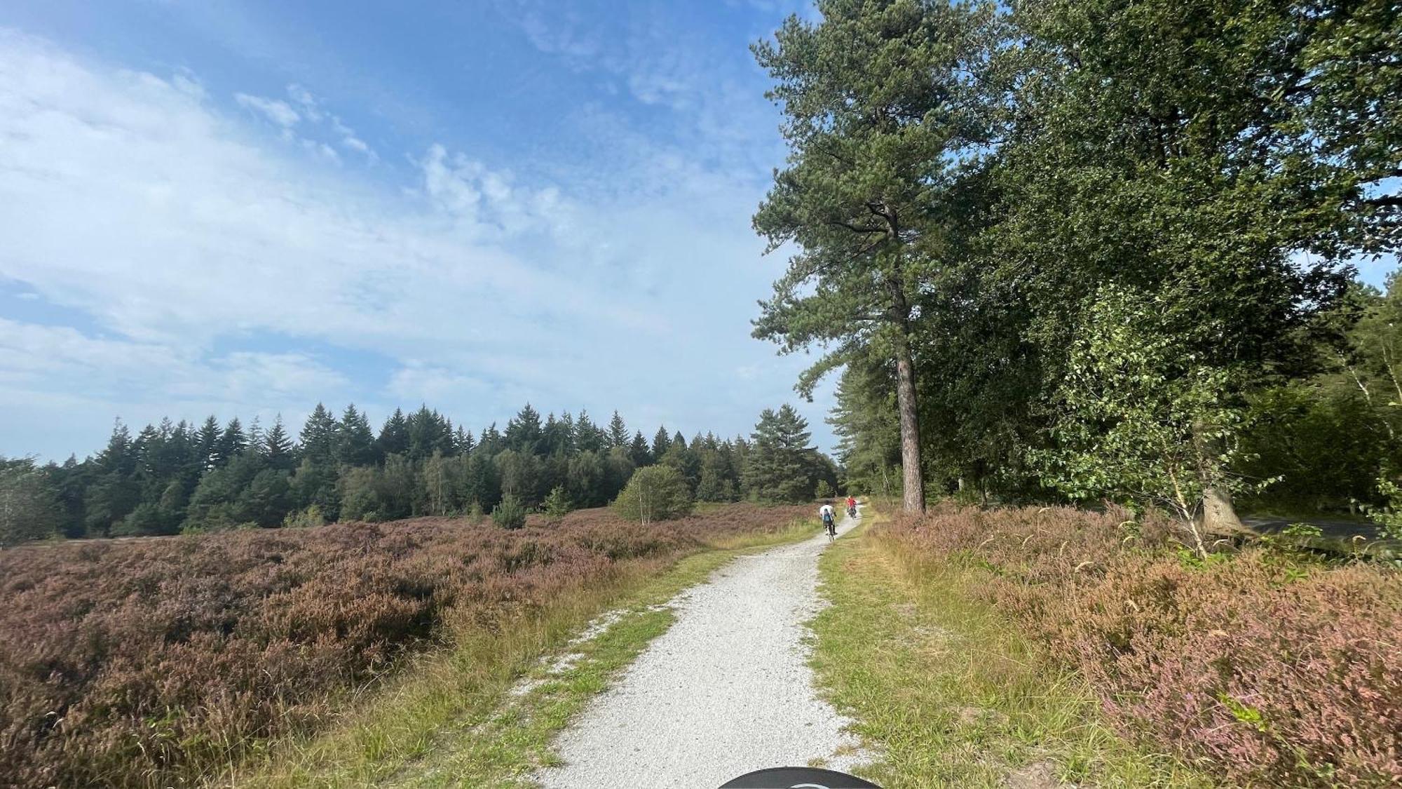 Villa Sayang26 Gezellige Gezinsvriendelijke Stacaravan Op Familiecamping De Vossenburcht In Natuurgebied Reestdal - No Workers Allowed IJhorst Exterior foto